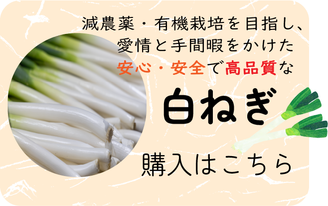 白ネギ購入 株式会社リアライズ